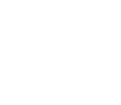 Fire Sprinkler System Texas Logo